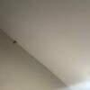 https://cdn-ostrovok-ru-ion.test.edgekey.net/t/100x100/hotel_review/f7/32/f7323e9d5d1a64deaa5975ed4cf4f370470e94c2.JPEG