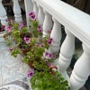 https://cdn-ostrovok-ru-ion.test.edgekey.net/t/100x100/hotel_review/f7/8d/f78dc38018b00ff89755d8791be42f4a52e3a18b.JPEG