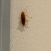 https://cdn-ostrovok-ru-ion.test.edgekey.net/t/100x100/hotel_review/f7/96/f7969902e60d359c8e73b6d11f047bd11dececd2.JPEG