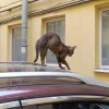 https://cdn-ostrovok-ru-ion.test.edgekey.net/t/100x100/hotel_review/f7/b3/f7b381dec7c9cfd24a177efc5bc4e59c6b0229b3.JPEG