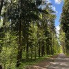 https://cdn-ostrovok-ru-ion.test.edgekey.net/t/100x100/hotel_review/f7/fb/f7fbe196cff059c6a24b041c03ff68608dceff73.JPEG