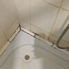 https://cdn-ostrovok-ru-ion.test.edgekey.net/t/100x100/hotel_review/f8/3b/f83b08053112e3b96136c7690be1a11793dc0126.JPEG