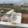 https://cdn-ostrovok-ru-ion.test.edgekey.net/t/100x100/hotel_review/f8/c2/f8c2a3554b430904fdb80dacfbf6dd978f89260c.JPEG