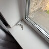 https://cdn-ostrovok-ru-ion.test.edgekey.net/t/100x100/hotel_review/f8/c3/f8c3506381f25d4a84b4598e297278a184ef1320.JPEG