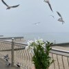 https://cdn-ostrovok-ru-ion.test.edgekey.net/t/100x100/hotel_review/f8/cf/f8cff80347c9622484df0dd78440b1d74f0f0cf2.JPEG