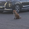 https://cdn-ostrovok-ru-ion.test.edgekey.net/t/100x100/hotel_review/f8/d2/f8d2d3e680bf97563bae6a381c6a17819625e40c.JPEG