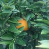 https://cdn-ostrovok-ru-ion.test.edgekey.net/t/100x100/hotel_review/f8/e5/f8e523c7cc48c4b6478545efc0173157c5de37a3.JPEG