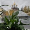 https://cdn-ostrovok-ru-ion.test.edgekey.net/t/100x100/hotel_review/f8/e9/f8e9045b54ae8fe5ff63ecb1c260d40d87dbce58.JPEG