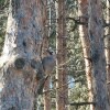 https://cdn-ostrovok-ru-ion.test.edgekey.net/t/100x100/hotel_review/f9/54/f9548e1cbfec550e575e2b74868712d695b20157.JPEG