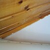 https://cdn-ostrovok-ru-ion.test.edgekey.net/t/100x100/hotel_review/f9/5e/f95e68249458b9d5d284bc8412c031fc3e13ebee.JPEG
