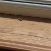 https://cdn-ostrovok-ru-ion.test.edgekey.net/t/100x100/hotel_review/f9/61/f9614c44af631c459799c6de898c4ad29061f360.PNG