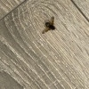 https://cdn-ostrovok-ru-ion.test.edgekey.net/t/100x100/hotel_review/f9/98/f99899da55cdf6657d1a83dcef91957ec38197a2.JPEG