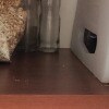 https://cdn-ostrovok-ru-ion.test.edgekey.net/t/100x100/hotel_review/f9/a2/f9a228b6ddad07473ba4fa3c5f5d9d6602e698e4.JPEG