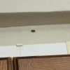 https://cdn-ostrovok-ru-ion.test.edgekey.net/t/100x100/hotel_review/f9/a3/f9a30720e044187907ed79b04fd581903fc3c230.JPEG