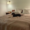 https://cdn-ostrovok-ru-ion.test.edgekey.net/t/100x100/hotel_review/f9/dd/f9dd1307a00db403f5eac104c31aae6d7486b60e.JPEG