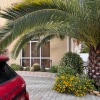 https://cdn-ostrovok-ru-ion.test.edgekey.net/t/100x100/hotel_review/fa/94/fa9491e421e3dbeed1a4ba22edb21129121d83b2.JPEG
