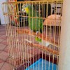 https://cdn-ostrovok-ru-ion.test.edgekey.net/t/100x100/hotel_review/fa/b9/fab9e0af7adca682a813a2ad15d6ed5bbd184b77.jpeg