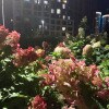 https://cdn-ostrovok-ru-ion.test.edgekey.net/t/100x100/hotel_review/fa/bb/fabb7eb9df4c666d0ce0ed8568223f0426c91acf.JPEG