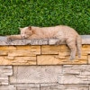 https://cdn-ostrovok-ru-ion.test.edgekey.net/t/100x100/hotel_review/fa/bf/fabf03468fc47f7d4a926af728379b3b4e49338c.JPEG