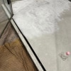 https://cdn-ostrovok-ru-ion.test.edgekey.net/t/100x100/hotel_review/fa/ce/face36a08d0f6fe3bd00efa0fedbdf68379596d0.jpeg