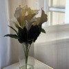 https://cdn-ostrovok-ru-ion.test.edgekey.net/t/100x100/hotel_review/fb/20/fb2004fbd1e7aeab6be60cb67501207ccc57a512.JPEG