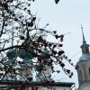 https://cdn-ostrovok-ru-ion.test.edgekey.net/t/100x100/hotel_review/fb/2d/fb2d7845c662faddae5670e6832033b6fbd73646.JPEG