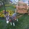 https://cdn-ostrovok-ru-ion.test.edgekey.net/t/100x100/hotel_review/fb/31/fb31abc357a5432e717e5c618a68b220a6c4906f.JPEG