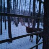 https://cdn-ostrovok-ru-ion.test.edgekey.net/t/100x100/hotel_review/fb/53/fb53aedd760a8ac83cd806a8eaad3c00d3ace85f.JPEG