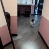 https://cdn-ostrovok-ru-ion.test.edgekey.net/t/100x100/hotel_review/fb/74/fb74a2774f6836569a06163f2d7e428a2535ac76.JPEG