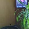 https://cdn-ostrovok-ru-ion.test.edgekey.net/t/100x100/hotel_review/fb/c7/fbc7c188d64c1b466eda590dcfe1011bca117531.JPEG