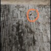 https://cdn-ostrovok-ru-ion.test.edgekey.net/t/100x100/hotel_review/fb/ed/fbedf779fb3ea952d6c79c28c850b0a4b50cba48.JPEG