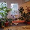https://cdn-ostrovok-ru-ion.test.edgekey.net/t/100x100/hotel_review/fc/04/fc045b58593eca2528d721bed30834f7bf235309.jpeg