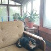 https://cdn-ostrovok-ru-ion.test.edgekey.net/t/100x100/hotel_review/fc/07/fc078d82ed7a48408bf65644c91acf96a0a50031.JPEG