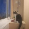 https://cdn-ostrovok-ru-ion.test.edgekey.net/t/100x100/hotel_review/fc/11/fc11166f62932f5717299128e3b6c58e1749af27.JPEG