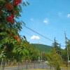 https://cdn-ostrovok-ru-ion.test.edgekey.net/t/100x100/hotel_review/fc/11/fc115ca061fde72864c44b3b5d96ced935c91ff9.jpeg