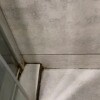https://cdn-ostrovok-ru-ion.test.edgekey.net/t/100x100/hotel_review/fc/4a/fc4a3b81b63692cc6504c90415d23dadd37db986.JPEG