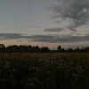 https://cdn-ostrovok-ru-ion.test.edgekey.net/t/100x100/hotel_review/fc/79/fc7911261f6df0546f974d2a63cad51c68feddf5.JPEG