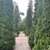 https://cdn-ostrovok-ru-ion.test.edgekey.net/t/100x100/hotel_review/fc/85/fc85380e640a008b3412ed1945887f8eee45e1d1.JPEG