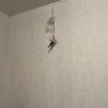 https://cdn-ostrovok-ru-ion.test.edgekey.net/t/100x100/hotel_review/fc/b5/fcb5ac8ed9804271f776ea4e9f4d41081720a743.JPEG