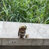 https://cdn-ostrovok-ru-ion.test.edgekey.net/t/100x100/hotel_review/fc/c9/fcc9d052b7c879002b7db809865deee76da3fd22.JPEG