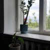 https://cdn-ostrovok-ru-ion.test.edgekey.net/t/100x100/hotel_review/fc/d7/fcd7a167a7bec378eb2d88fd20ac76df56e3520e.JPEG
