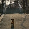 https://cdn-ostrovok-ru-ion.test.edgekey.net/t/100x100/hotel_review/fc/f6/fcf6904ee2287150e062aea37484101c0529095b.jpeg