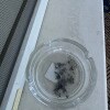 https://cdn-ostrovok-ru-ion.test.edgekey.net/t/100x100/hotel_review/fd/56/fd56c4390ef1e75fa743b63505ed596b853d93b8.JPEG