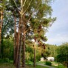 https://cdn-ostrovok-ru-ion.test.edgekey.net/t/100x100/hotel_review/fd/c6/fdc6a02c7ce2d46c4c233995eb9af25dc2fb7950.JPEG
