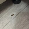 https://cdn-ostrovok-ru-ion.test.edgekey.net/t/100x100/hotel_review/fd/fe/fdfebfb5d39a81823f0be7de90aa1c39389afdaf.JPEG