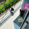 https://cdn-ostrovok-ru-ion.test.edgekey.net/t/100x100/hotel_review/fd/zz/fdad2b113417c49d23238ac1d2a618ffaefa9db9.jpeg