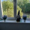 https://cdn-ostrovok-ru-ion.test.edgekey.net/t/100x100/hotel_review/fe/14/fe14cfc019e6b622e1a9188f616b48b306c561d1.jpeg