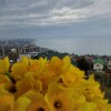 https://cdn-ostrovok-ru-ion.test.edgekey.net/t/100x100/hotel_review/fe/74/fe744df16bdc01cd7f5074873b3e621b8d2bcf4b.JPEG