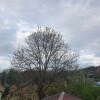 https://cdn-ostrovok-ru-ion.test.edgekey.net/t/100x100/hotel_review/fe/7b/fe7bdbb0bdafe21b46c7383ea87b5be10682f6a6.JPEG
