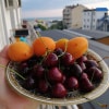 https://cdn-ostrovok-ru-ion.test.edgekey.net/t/100x100/hotel_review/fe/b3/feb3b2bb0898ef739f1b755048451febde39f737.jpeg